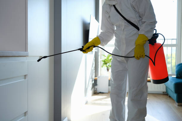 Best Residential Mold Removal  in Demarest, NJ