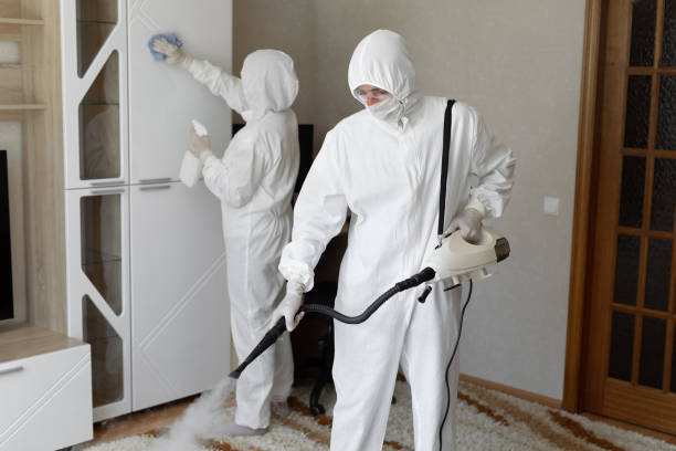 Best Professional Mold Removal  in Demarest, NJ